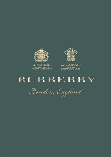 burberry brand guidelines pdf|Burberry corporate codes.